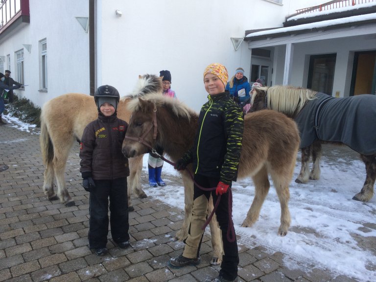 Pony 5