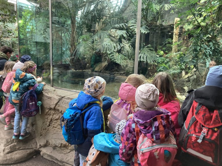 Tierpark 8