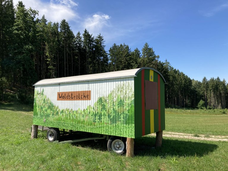 Waldstrolche Waldstrolche