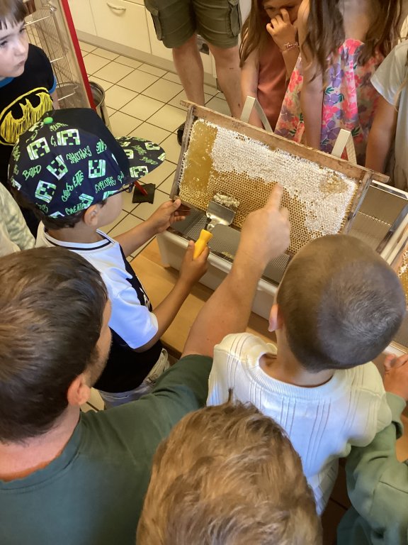 Bienen 2 Bienen 2